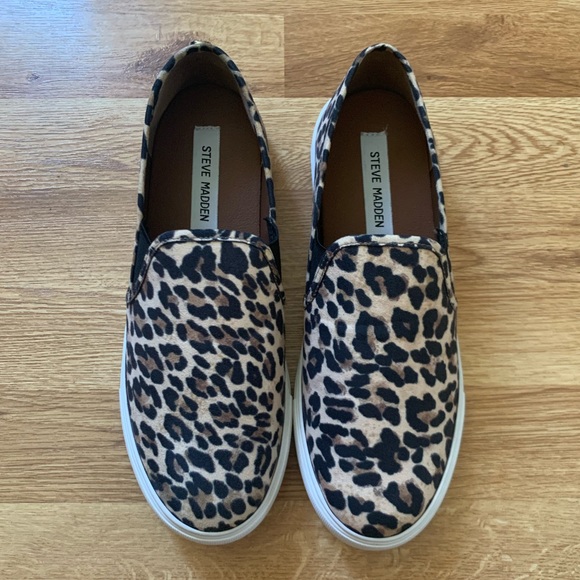 steve madden safary leopard sneakers